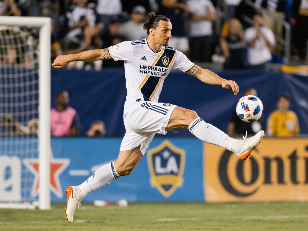 环境也让本 环境也让本