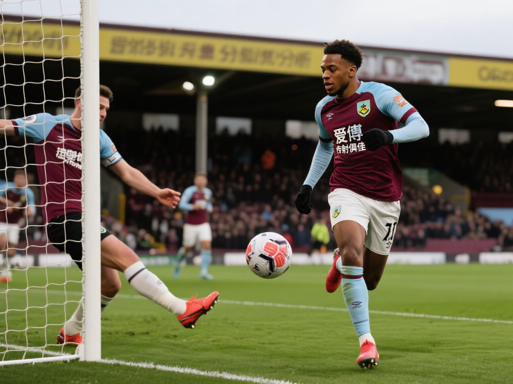 可以预见 可以预见