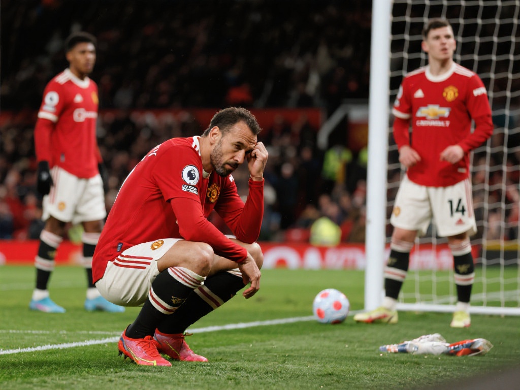 他们完全有 他们完全有